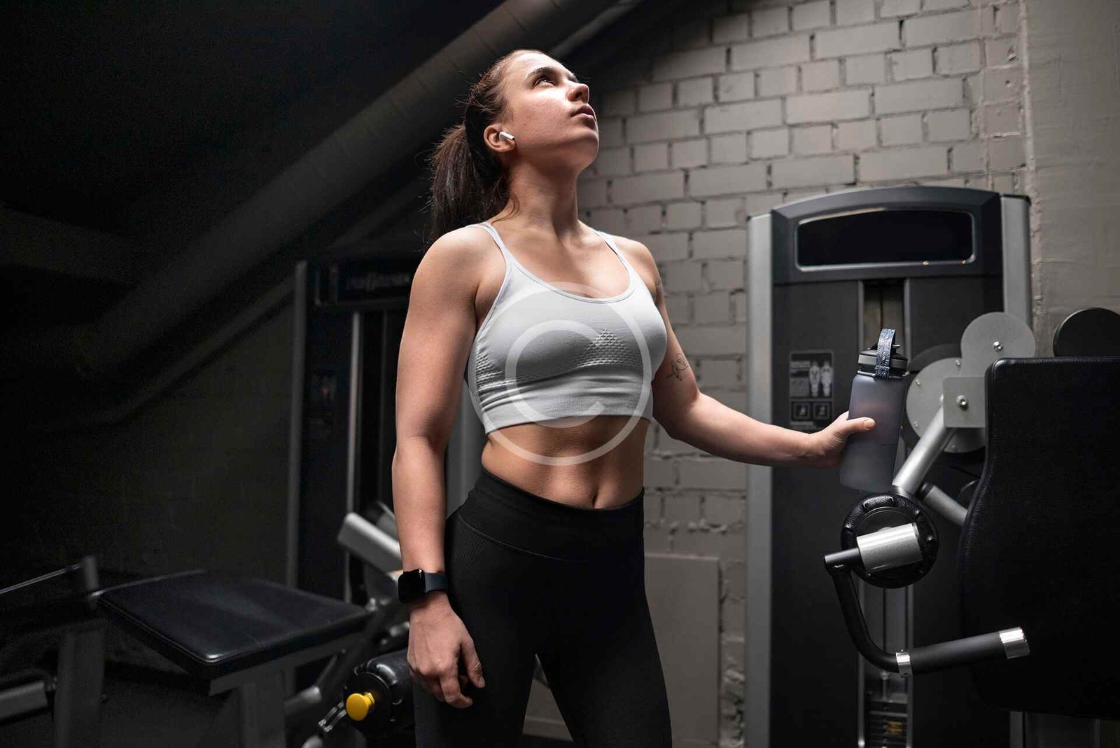 Muscle Building Programs